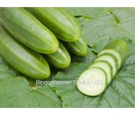 Komkommer  - Persika - BIODYNAMISCH