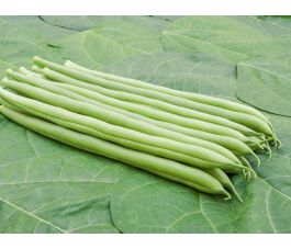 Staakboon/Stokslaboon - Cobra - BIO