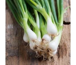 Bosui - White Lisbon - BIO