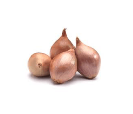 Plantsjalot - Red Sun - 7/14 - BIO