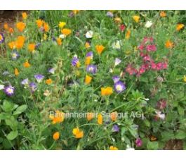 Zomerbloemenmix  - Zomerpracht - 100 g - voor 200 m² - BIODYNAMISCH