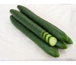 Komkommer - Arola 0,3g (6-8zaden) - BIODYNAMISCH