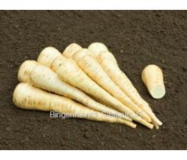 Pastinaak - Aromata - BIODYNAMISCH