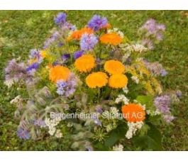 Z0390 - Bijenweide mengsel - 3 g - voor 4 m² - BIODYNAMISCH