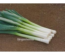 Prei - zomer - Hilari - BIODYNAMISCH - 50% korting - verminderde kiemkracht