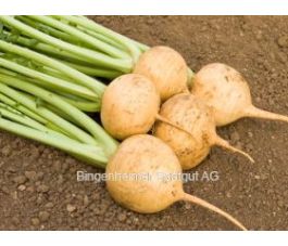 Meiraap/knolraap - Golden Ball - BIODYNAMISCH