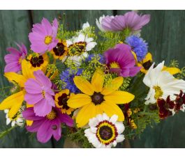 Zomerbloemenmengsel - Bauerngarten (Boerderijtuin/Erfbloemen) - 1 tot 100 g - BIODYNAMISCH