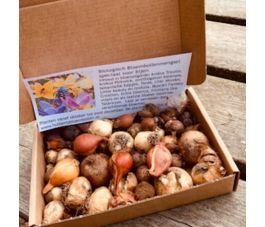 Brievenbusdoosje Voorjaarsbloemen - 44 bollen - BIO