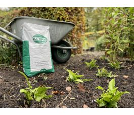 Gesteentemeel Actimin - 20 kg