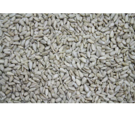 Gepelde zonnebloempitten 25kg - BIO