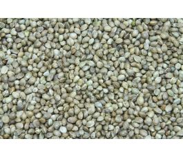 Hennepzaad 5 kg - BIO