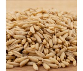 Naakte haver - kiemkrachtig - 1 kg - BIO