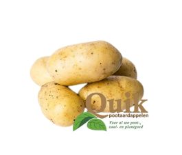 Pootaardappelen - Ditta - maat A 28/35 - 1kg - BIO