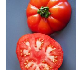 Tomaat - Triomphe de Liège - BIO