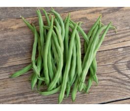 Stamslaboon/Struikboon - Caruso - BIO