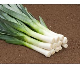 Prei - Haldor - BIODYNAMISCH