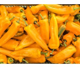 Paprika - Corno Giallo - BIODYNAMISCH