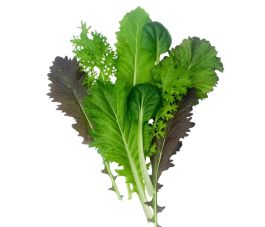 Bladmosterd - Mix pittige blaadjes - BIO