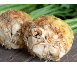 Knolselder - Porthos - BIODYNAMISCH