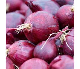 Ui - Red Baron - BIO