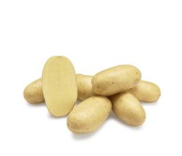 Pootaardappelen - Levante - maat A 30/40 - 1kg - BIO