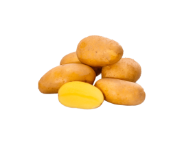 Pootaardappel - Glorietta - maat A 28/30 - 1kg - BIO