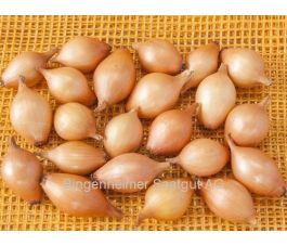 Plantui - Sturon - maat 10/22 - 500g - BIO