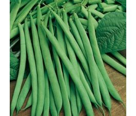 Struikboon - Saxa - BIODYNAMISCH