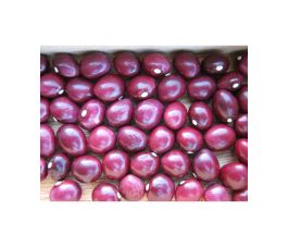 Boon - dopboon/droogboon - Coco rose de la Meuse - BIO