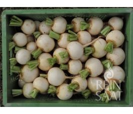 Meiraap - Snowball - BIODYNAMISCH