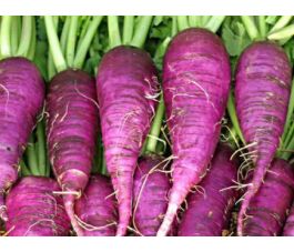 Rammenas - Blauer Herbst und Winter - BIO