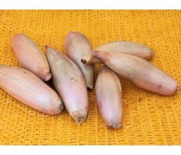 Ui - Cuisse de poulet - BIODYNAMISCH