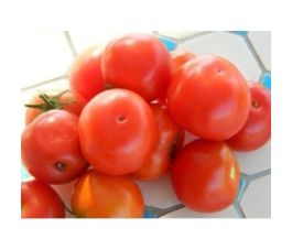Tomaat - Joyau d'Idaho - BIO