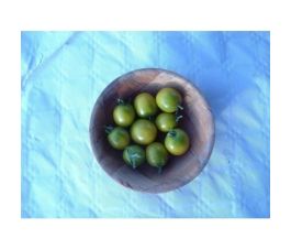 Kerstomaat - Raisin Vert - BIO