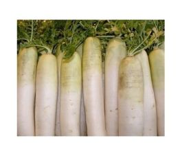 Wortel - Blanche des Vosges - BIO