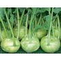 Koolrabi wit  - Orinoko - BIODYNAMISCH - 50% korting - verminderde kiemkracht