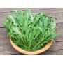 Wilde rucola - Diplotaxis tenuifolia - BIODYNAMISCH