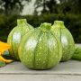 Bolcourgette - Ola Redonda - BIO