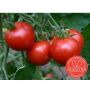 Tomaat - Matina - BIO