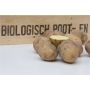 Pootaardappelen, Carolus maat 28/35, 1,38 kg (50 stuks) - BIO
