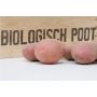 Pootaardappelen, Alouette maat 28/35, 1,38 kg (50 stuks) - BIO
