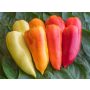 Paprika- Ferenc Tender - BIODYNAMISCH