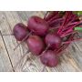Rode biet - Egyptische platronde - BIODYNAMISCH